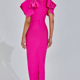 Amalia Pembe Maxi Elbise